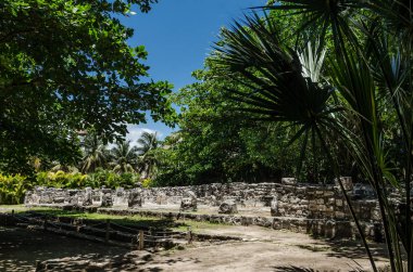 San Miguelito Arkeoloji Sitesi, Cancun, Meksika