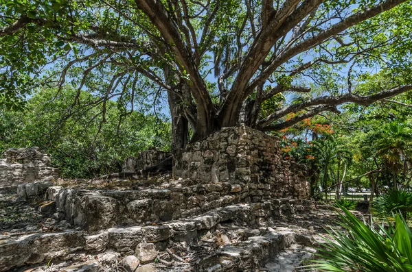 Sítio arqueológico de El Meco, Canc =n, M =xico — Fotografia de Stock