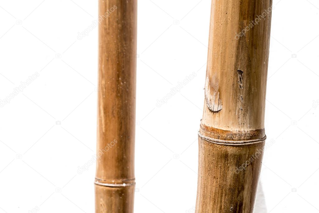 decorative bamboo logs with white backgroun