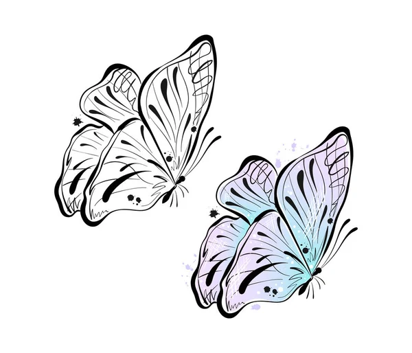 Croquis Vectoriel Bel Insecte Papillon — Image vectorielle