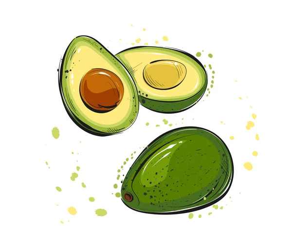 Ilustración Vectorial Alimentos Aguacate — Vector de stock