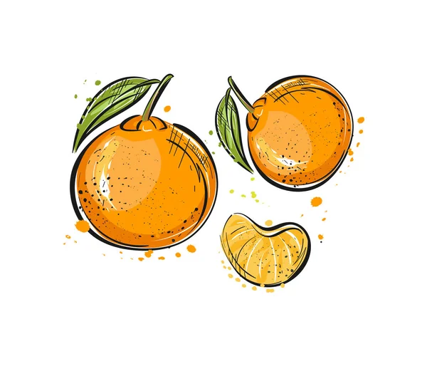 Ilustração Vetorial Laranja Mandarim — Vetor de Stock