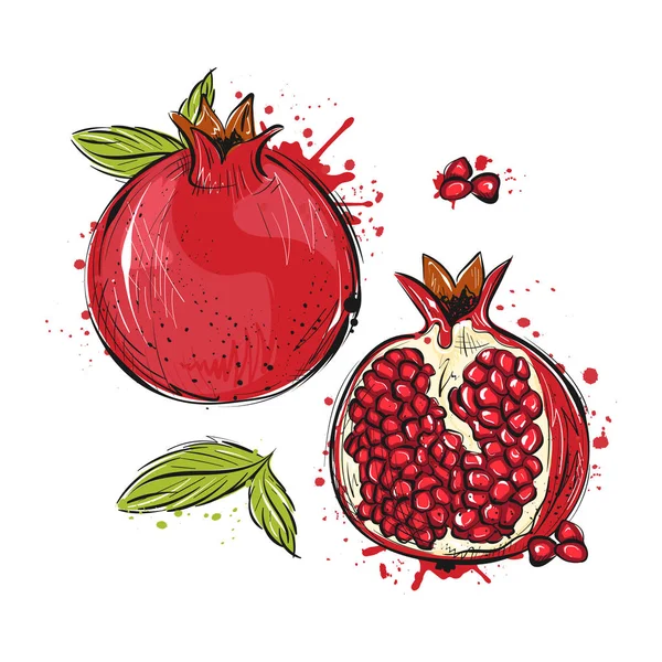 Ilustración Vectorial Con Fruta Granada — Vector de stock