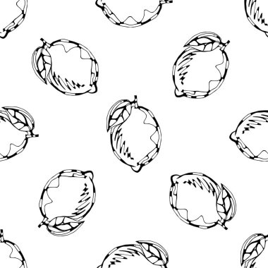 Limon çizim deseni vektör illüstrasyon