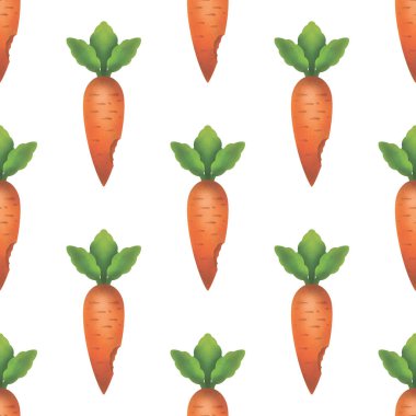 şekil illüstrasyon havuç yatak sebze