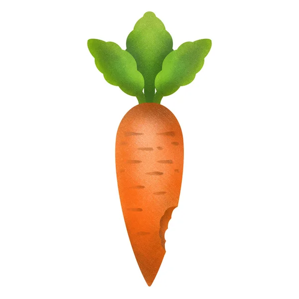 Фігурна Ілюстрація Морквяні Овочі — стокове фото