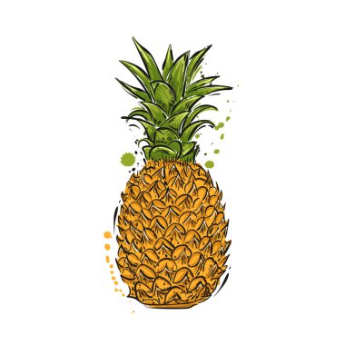 Bir ananas çizim vektör