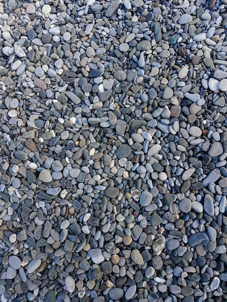 Grå småstein i nærheten, teksturert bakgrunn, steintekstur – stockfoto