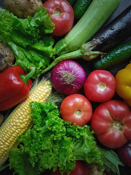Cosecha, Mezcla de Verduras Frescas, Tomates, Berenjenas, Patatas, Pepinos, Maíz — Foto de Stock