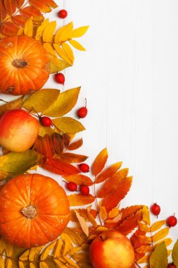 Balkabağı ve böğürtlenlerle sonbahar sınırı