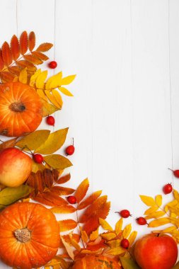 Balkabağı ve böğürtlenlerle sonbahar sınırı