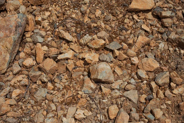 Brown Dry Stony Ground Texture — Stock Photo, Image