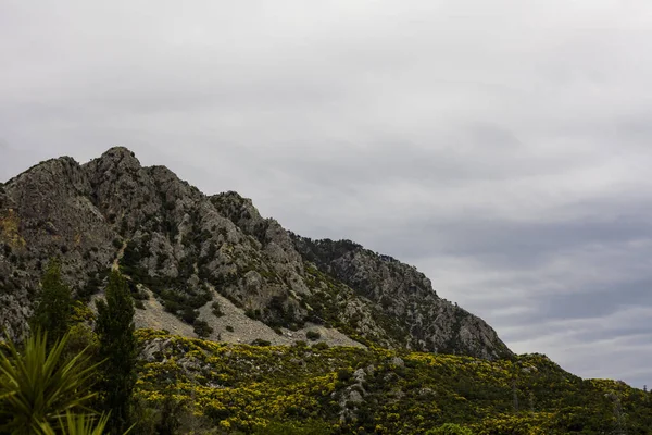 Montañas Con Árboles Clima Nublado — Foto de Stock