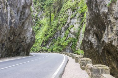 Dağ Gorge. Romen Karpatlar. Yeşil ağaçlar. Avrupa'nın doğası. Kayaların arasındaki yol. Avrupa'da seyahat. Dağ manzarası. Bicaz yoldan geçit.