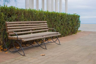 Parkta boş ahşap Bank. Deniz kenarında bir parkta boş bir ahşap Bank.