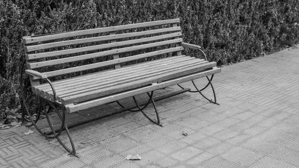 Banco Madeira Vazio Parque — Fotografia de Stock