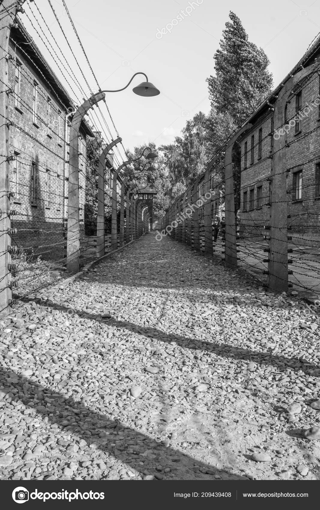 Auschwitz Birkenau Concentration Camp Memorial Auschwitz
