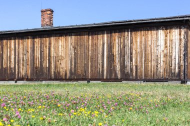 Alan çiçek toplama kampı barakalarda önünde. Auschwitz-Birkenau toplama kampı. Auschwitz anıt. Polonya'daki toplama kampı. Savaşın dehşeti. Fabrika ölüm. İkinci Dünya Savaşı. Naziler zulüm. Ahşap kulübe.