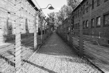 Auschwitz-Birkenau toplama kampı. Auschwitz anıt. Polonya'daki toplama kampı. Savaşın dehşeti. Fabrika ölüm. İkinci Dünya Savaşı. Naziler zulüm. Elektrik akımı ile çit. Ölümcül tehlike. Jail Break Jail break. Dikenli tel.