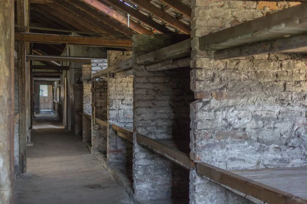 Nazizm barak kurbanları. Toplama kampında hayatta şartları. Auschwitz-Birkenau toplama kampı. Auschwitz anıt. Polonya'daki toplama kampı. Savaşın dehşeti. Fabrika ölüm. İkinci Dünya Savaşı. Naziler zulüm.