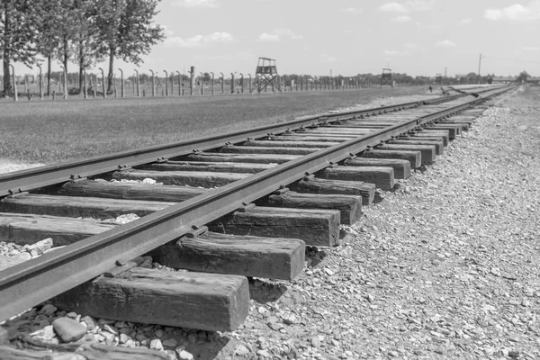 Porte Mort Birkenau Plateforme Distribution Rails Dans Camp Concentration Auschwitz — Photo