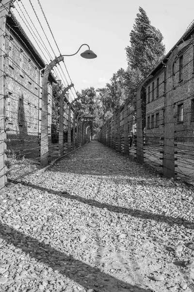 Auschwitz Birkenau Koncentrationslägret Memorial Till Auschwitz Koncentrationsläger Polen Krigets Fasor — Stockfoto