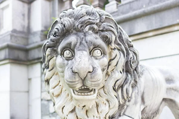 Muzzle of a marble lion close-up. Marble sculpture. White stone lion. Architecture of the Middle Ages. European monuments. An ancient attraction. Peles Castle in Europe. Sculpture of an animal.