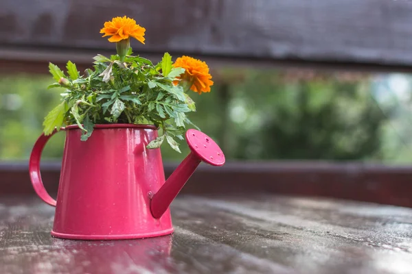 Ringelblumen Einer Dekorativen Gießkanne Auf Dem Tisch Restaurant Dekor Auf — Stockfoto