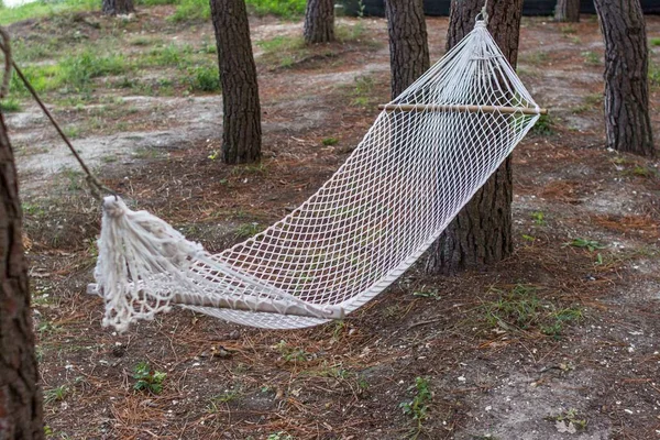 キャンプ場で木にハンモック ロープのハンモックのクローズ アップ 新鮮な空気中にはハンモックで寝る キャンプ 田舎の生活 — ストック写真