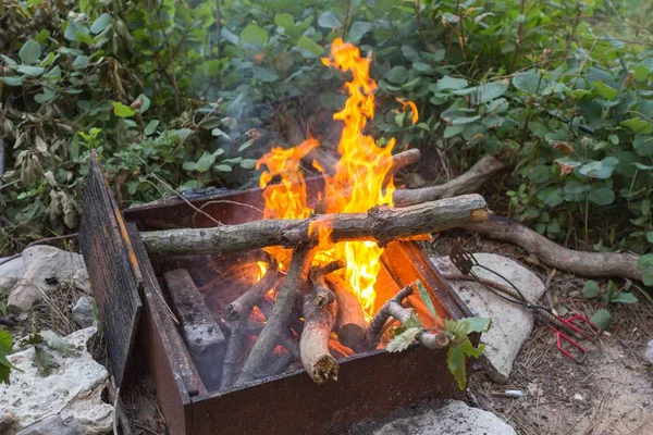 Una Fiamma Ardente Fuoco Lingue Fiamma Tronchi Bruciati Cibo Grigliato — Foto Stock