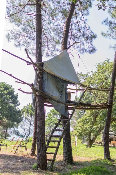 観光客のための木の家 枝の間の子供たちのためのテント 子供たちのキャンプの小屋 キャンプの夏の家 戸外では夏休み 屋外ゲーム 森の中のエンターテイメント — ストック写真