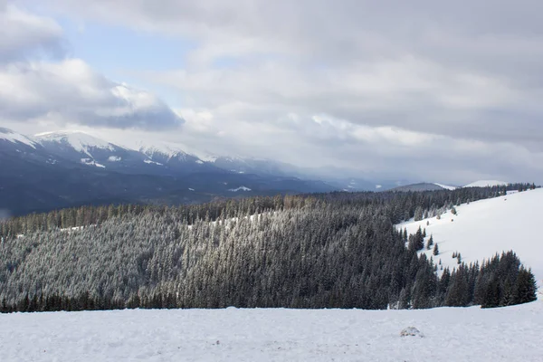 Kış dağlar. Kış orman. Ukraynalı Karpatlar. Kış aylarında kamp. Kış resort. Kışın dağ manzarası. Soğuk hava. Karlı expanses. Mutlu Noeller. Yeni yıl.