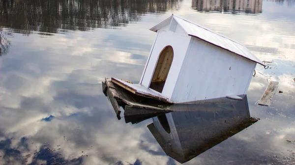 Drunkning Hus Svanar Och Ankor Sjön Swan House Vita Huset — Stockfoto