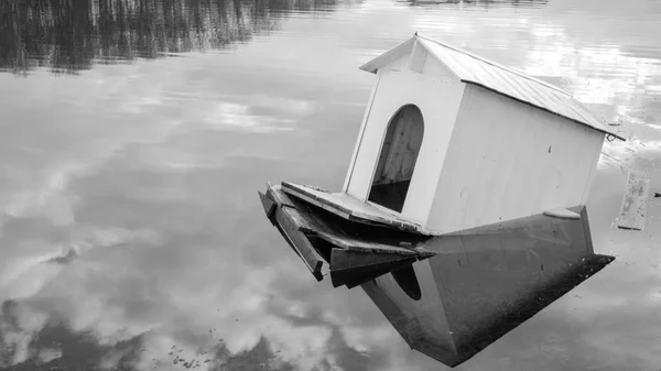 Drunkning Hus Svanar Och Ankor Sjön Swan House Vita Huset — Stockfoto