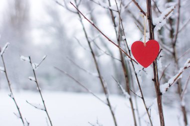 Kalp karlı arka plan yakın çekim üzerinde. Kırmızı kalp kış orman arka planı. Romantik arka plan kırmızı bir kalp ile. Karla kaplı ağaçlar çerçevede bir kırmızı kalp. Noel iyi. Kış park karla kaplı. Kış rahatlığında.