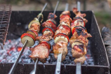 Domuz eti, kuzu ya da Dana şiş. Lezzetli et şiş üzerinde. Et bir açık ateş üzerinde kızarmış. Arkadaş grubu Barbekü. Ateş üzerinde sebzeli et yemek.