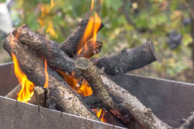 Alev ormanda kamp ateşi. Sonbahar eğlence ızgara yakınında. Günlükleri yangın çatırdama. Açık havada ateş. Ateşin yanında kamp. Yangın tehlikesi. Barbekü bir piknik.