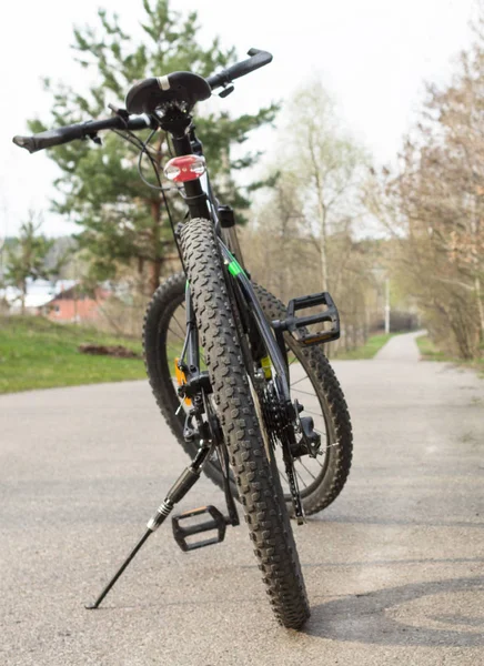 Bicycle on the forest road. Bicycle tire tread on a close-up forest background. Riding a bike in the spring. Bicycle route through the forest. Spring and summer leisure. Sports hobby. Walk in the fresh air. Two-wheeled friend. Eco-friendly transport.