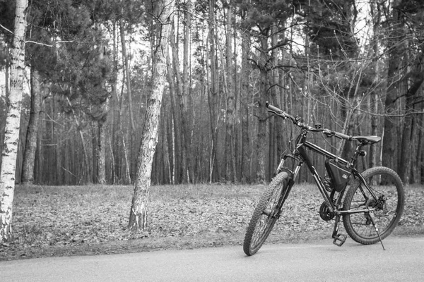 Bicycle on the forest road. Bicycle tire tread on a close-up forest background. Riding a bike in the spring. Bicycle route through the forest. Spring and summer leisure. Sports hobby. Walk in the fresh air. Two-wheeled friend. Eco-friendly transport.