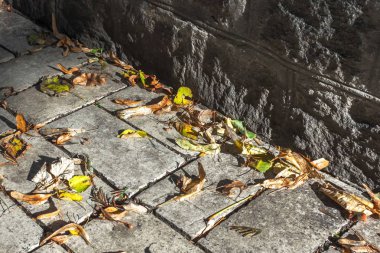 Sonbahar yaprak düşer. Kaldırıma çok renkli kuru yaprakları. Kömür topakları sarı yaprakları sonbaharda. Hışırtı düşen yapraklar parkta. Parlak renkler sonbahar. Sonbahar hava.