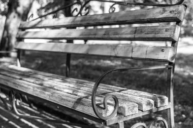 Boş park bankında. Dinlenmek için bir yer. Açık hava etkinlikleri. Dışarıda koltuk. Sahte korkuluk. Ahşap Bank mekan. Yalnızlık sembolü.