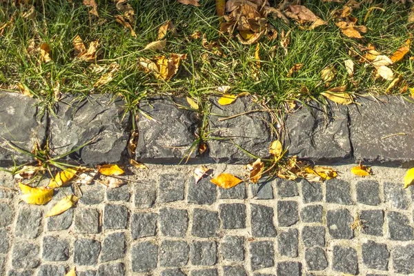 Autumn leaf fall. Multicolored dry leaves on the pavement. Cobbles in the yellow leaves in the fall. The rustling fallen leaves in the park. Bright colors of autumn. Autumn weather.