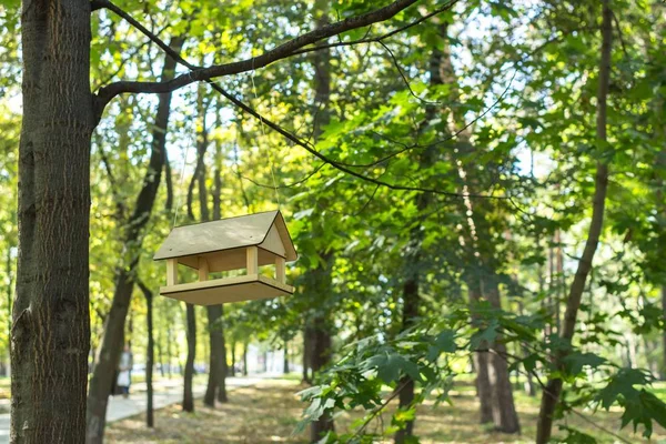 木の巣箱 公園の緑の木々 鳥の送り装置 新鮮な空気の中を歩きます 羽のお手入れ 鳥をフィードします 自然の宣撫 — ストック写真