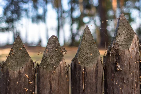 Płot Ostry Dzienników Drewnianym Płotem Las Krajobraz Rustykalny Styl Projektowaniu — Zdjęcie stockowe