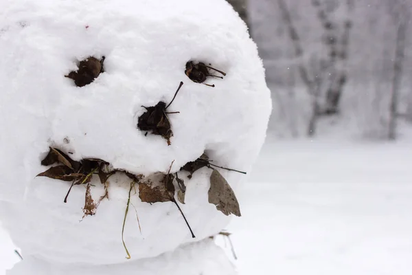 雪的雕塑 奇怪而可怕的雪人冬天在户外玩 家庭冬季在森林中的乐趣 雪人的微笑和鼻子 寒冷的天气 公园里的雪人 — 图库照片