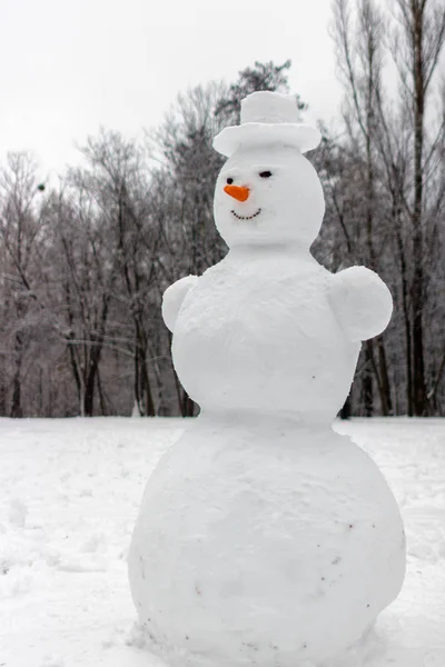 Sculptuur Van Sneeuw Vreemde Angstaanjagende Sneeuwpop Buiten Spelen Winter Familie — Stockfoto