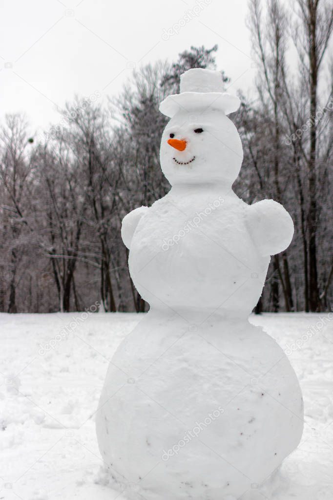 Sculpture of snow. Strange and terrifying snowman. Playing outdoors in winter. Family winter fun in the forest. Smile and nose of a snowman. Winter vacation. Frosty weather. Snow man in the park.