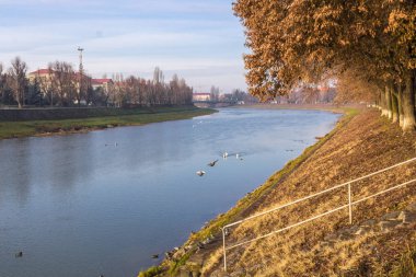 Nehir manzara ilkbahar veya sonbaharda. Sığ bir nehir viraj. Ağaçlar Nehri kıyısında. Güzel sonbahar manzara. Şehrin nehirde akış. Güzel doğa.