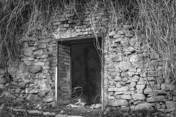 Terk edilmiş binada. Kapı olmadan evden. Boş eski ev. Taş duvarlar. Cadı'nın evi. Giriş için korkutucu bir yer. Bir korku filmi atmosfer. Eski kır evi.