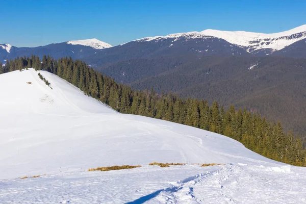 Snow-capped mountains and hills. Mountains Carpathians in Ukraine. Winter mountain landscape. Mountain Bukovel. Panorama from the top of the mountain. Freeride ski slope.Skiing and snowboarding.